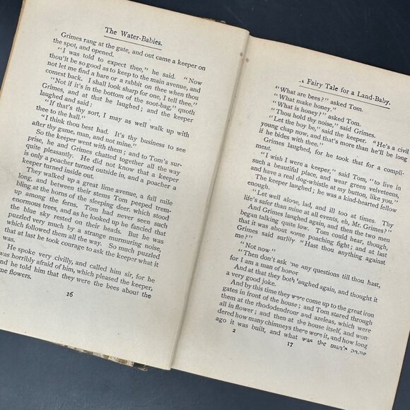 Antique Book Water Babies Charles Kingsley Fairytale Art Nouveau 1910 Hardback - Picture 8 of 15